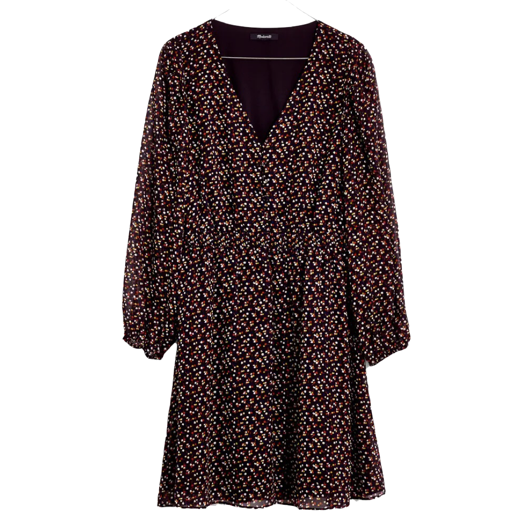 V-Neck Long Sleeve Smocked Mini Dress | Madewell